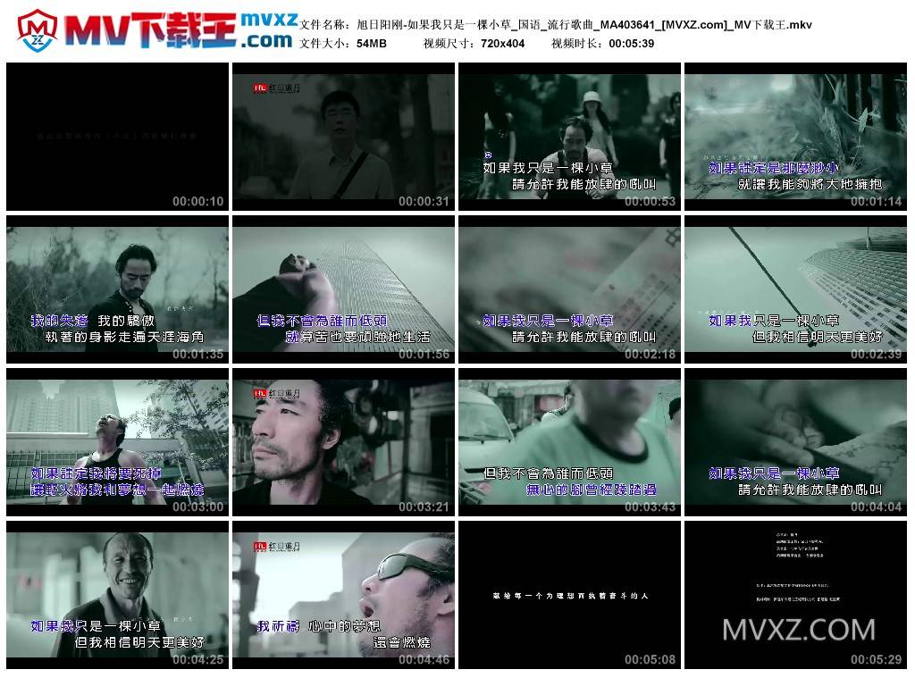旭日阳刚-如果我只是一棵小草_国语_流行歌曲_MA403641